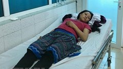 Lai Châu: Ăn nhầm nấm độc, cả gia đình phải nhập viện cấp cứu