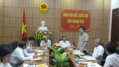 Đoàn Đại biểu Quốc hội tỉnh Khánh Hòa ghi nhận những nỗ lực to lớn của ngành điện