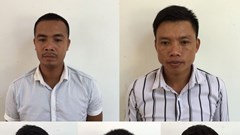 Quảng Bình: Khởi tố thêm 6 bị can phá rừng Phong Nha – Kẻ Bàng