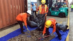 Phát hiện vụ vận chuyển trái phép hơn 5 tấn vảy sừng tê tê