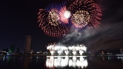 Mãn nhãn đêm pháo hoa "Mầm sống"