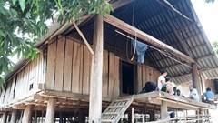 Nghệ An: Mâu thuẫn gia đình, bố dùng dao chém chết con trai