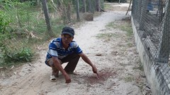 Ba cha con ở Quảng Nam bị truy sát ngay tại nhà: Mâu thuẫn chỉ vì cái chuồng heo bị “bốc mùi”