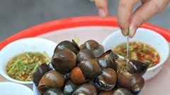 Ốc bươu luộc, đặc sản miền quê giờ tìm ăn không hề dễ