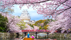 7 công ty du lịch Việt Nam bị Đại sứ quán Nhật Bản  hủy bỏ tư cách xin visa đoàn