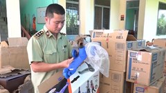 Quảng Nam: Tạm giữ nhiều phương tiện vận chuyển đồ chơi trẻ em không rõ nguồn gốc