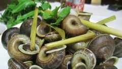 Đặc sản ốc núi đá: Giòn, ngon, lạ khiến thực khách mê mẩn