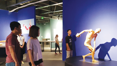 Xác định "Triển lãm có nội dung phức tạp”: Nhạy cảm, khó quy định cụ thể