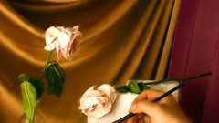 Dự án nghệ thuật “Họa sắc tuồng ca”