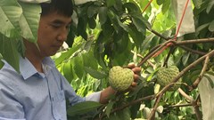 Ngày hội na Chi Lăng