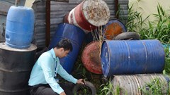 Sốt xuất huyết vẫn "nóng" tại TP.HCM