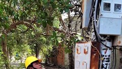 Người truyền cảm hứng cho nghề kiểm tra, giám sát mua bán điện