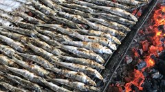 Cá trích nướng Thạch Kim: Đặc sản ăn 1 lần kiểu gì cũng tìm lần 2