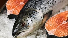 5 sai lầm khi ăn cá cực kì tai hại nhiều người mắc phải