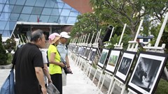 Thị trưởng ảnh Việt Nam: Như “ao thu lạnh lẽo nước trong veo”