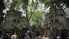 Campuchia: Bảo vệ cảnh quan di tích Angkor Wat