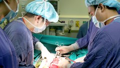 Bệnh viện Việt Đức: Ca ghép phổi thứ hai và 15 ca ghép tạng trong tuần