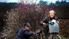 "Liên hoan Ảnh nghệ thuật khu vực Hà Nội lần thứ VII năm 2019”: Tác phẩm đoạt HCV có chất lượng... quá tệ