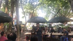 “Se sẽ chứ…”