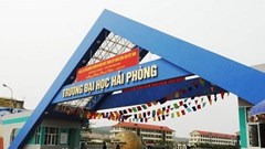 Gần 50 cở sở giáo dục phải dừng cấp chứng chỉ ngoại ngữ và tin học