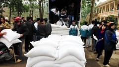 Cấp gần 4 vạn tấn gạo hỗ trợ học sinh vùng khó khăn