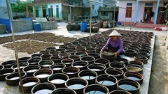 Nghề làm nước mắm Nam Ô là Di sản văn hóa phi vật thể quốc gia