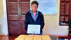Bắt đối tượng vận chuyển 7 bánh heroin, 56.000 viên ma túy tổng hợp
