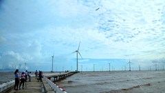 “Cánh đồng điện gió” trở thành điểm check in hot nhất Bạc Liêu