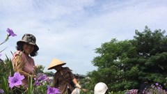 Nữ tổ trưởng và "phép màu" dọn rác