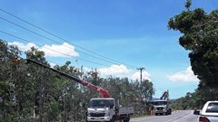 PC Khánh Hòa: Tăng cường các biện pháp đảm bảo an toàn lưới điện trước mùa mưa bão 2019