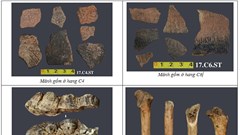 Khảo cổ học: Niềm vui, nỗi lo