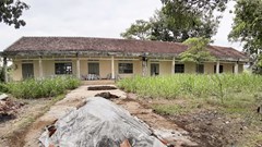 Đừng để trường học trở thành nơi chăn nuôi gia súc