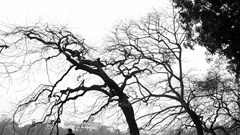 “Hoài niệm” về Hà Nội