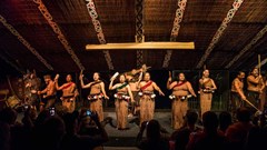 Khi lịch sử và văn hóa lên tiếng