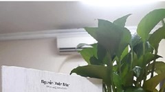 “Hai thế giới” - cuốn tự truyện còn dang dở của nhạc sĩ trẻ mang căn bệnh ung thư