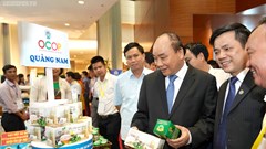 Thủ tướng: Không hợp tác thì làm sao chống chọi được trong kinh tế thị trường