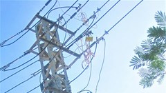 PC Khánh Hòa:  Phát động phong trào thi đua “Gia đình tiết kiệm điện tiêu biểu năm 2019”