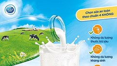 “4 không từ sữa – 4 có cho con”: Công thức chăm con chuẩn Hà Lan cho mẹ Việt