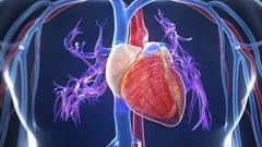 Hai trường hợp viêm cơ tim cấp tử vong chưa từng gặp nhau