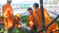 Xí nghiệp Xây lắp công nghiệp (PC Khánh Hòa):  Chủ động ứng phó với mọi tình huống trong bão lũ