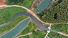 Hà Nội: Viwasupco tự ý xả nước xúc rửa bể chứa nhiễm dầu ra môi trường