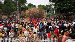 Lễ hội Kanagawa: Cơ hội thưởng thức văn hóa Nhật Bản tại Hà Nội