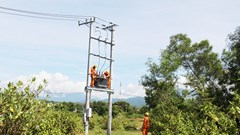 PC Khánh Hòa: Đảm bảo chỉ tiêu về lưới điện xây dựng nông thôn mới