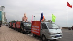 Chung tay phòng, chống bạo lực gia đình