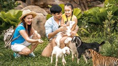 Vinpearl Safari đăng cai tổ chức hội nghị bảo tồn và phúc trạng động vật lớn nhất Đông Nam Á