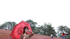 Lâm Đồng:  Mùa hội cỏ hồng hút khách du lịch
