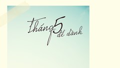 Xem phim toàn cảnh tại Liên hoan phim Việt Nam lần thứ XXI: Diện mạo rõ nét về điện ảnh Việt Nam