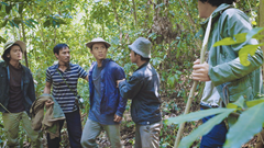 “Rừng thiêng” và sự trở lại mạnh mẽ của TFS