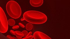 5 dấu hiệu nhận biết khi cơ thể thiếu sắt