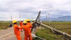 PC Khánh Hòa: Phát huy vai trò của đảng viên trong các phong trào thi đua, lao động sản xuất